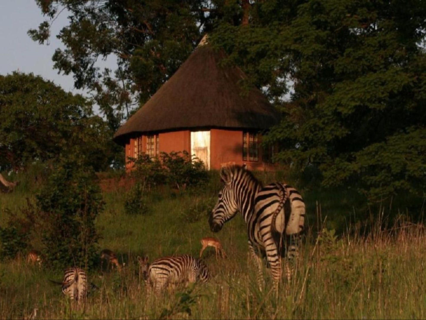 Mlilwane Game Sanctuary, Animal