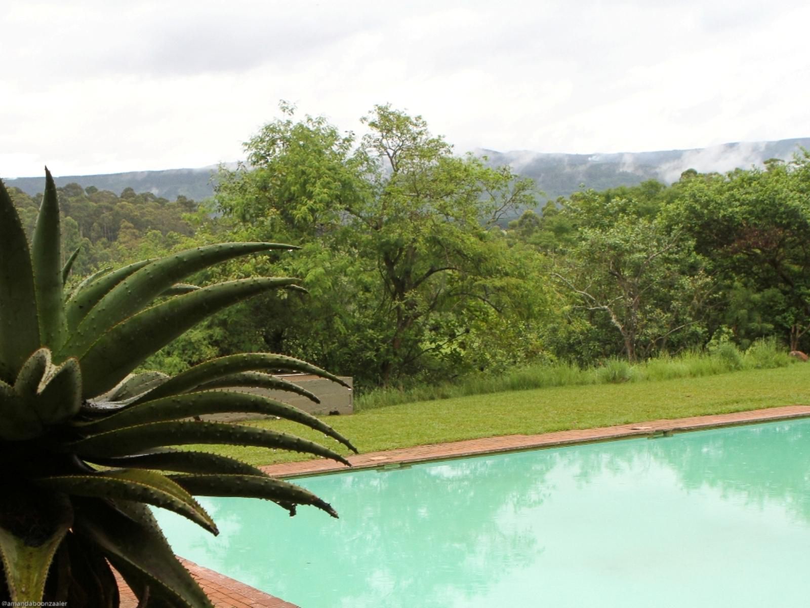 Mlilwane Game Sanctuary, Swimming Pool