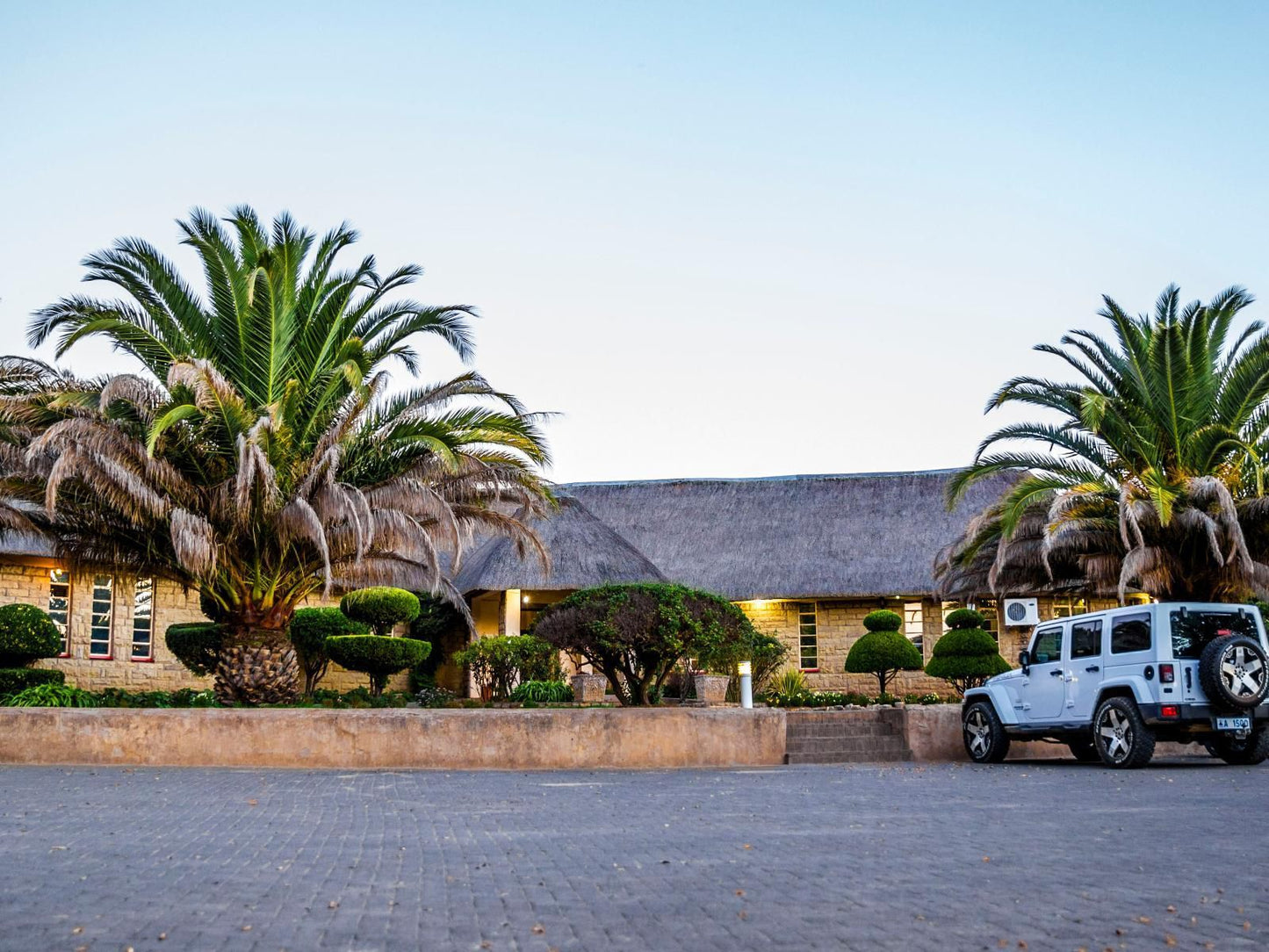 Mmelesi Lodge, Palm Tree, Plant, Nature, Wood