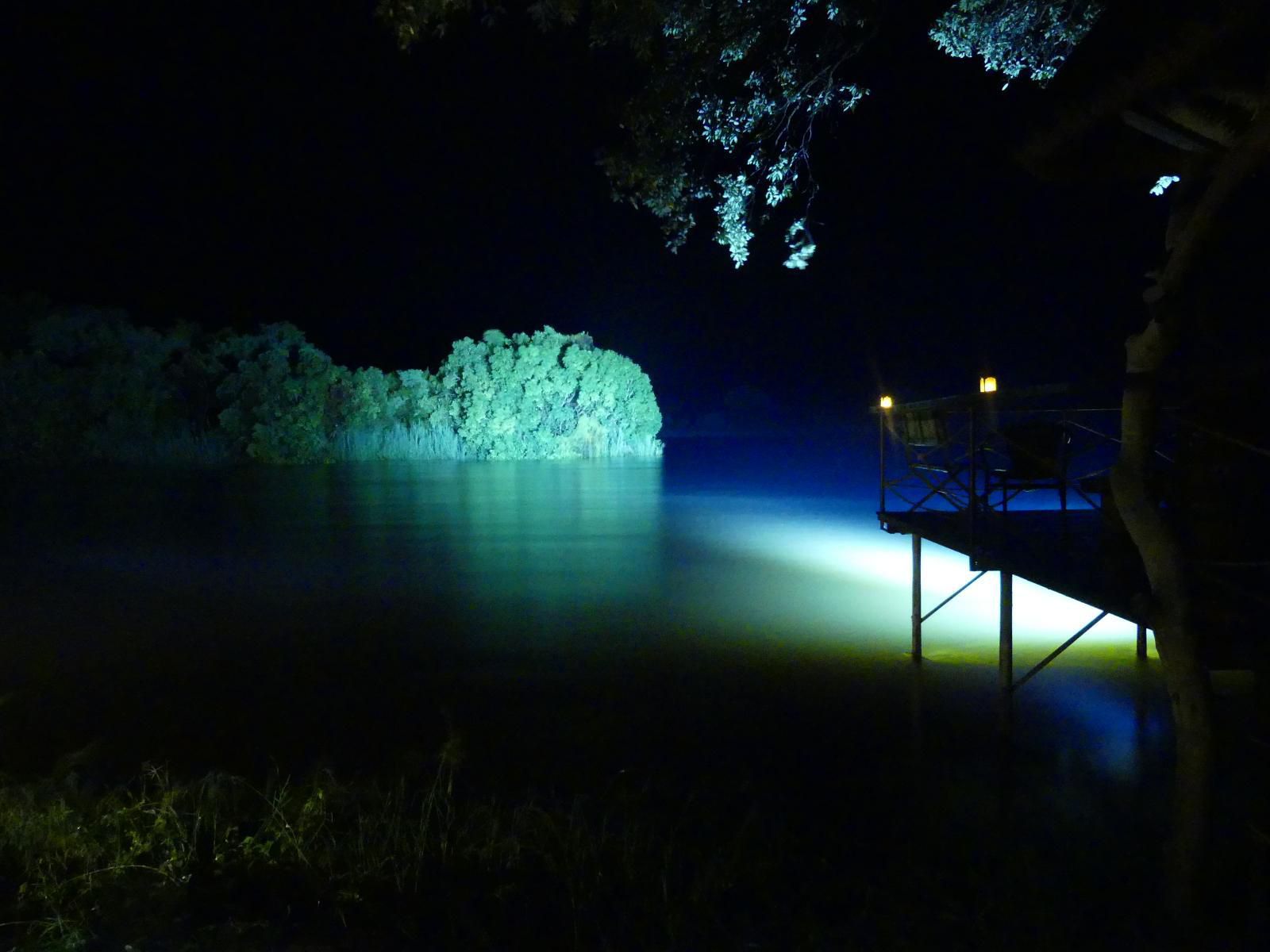 Mobola Island Lodge, Dark, Swimming Pool