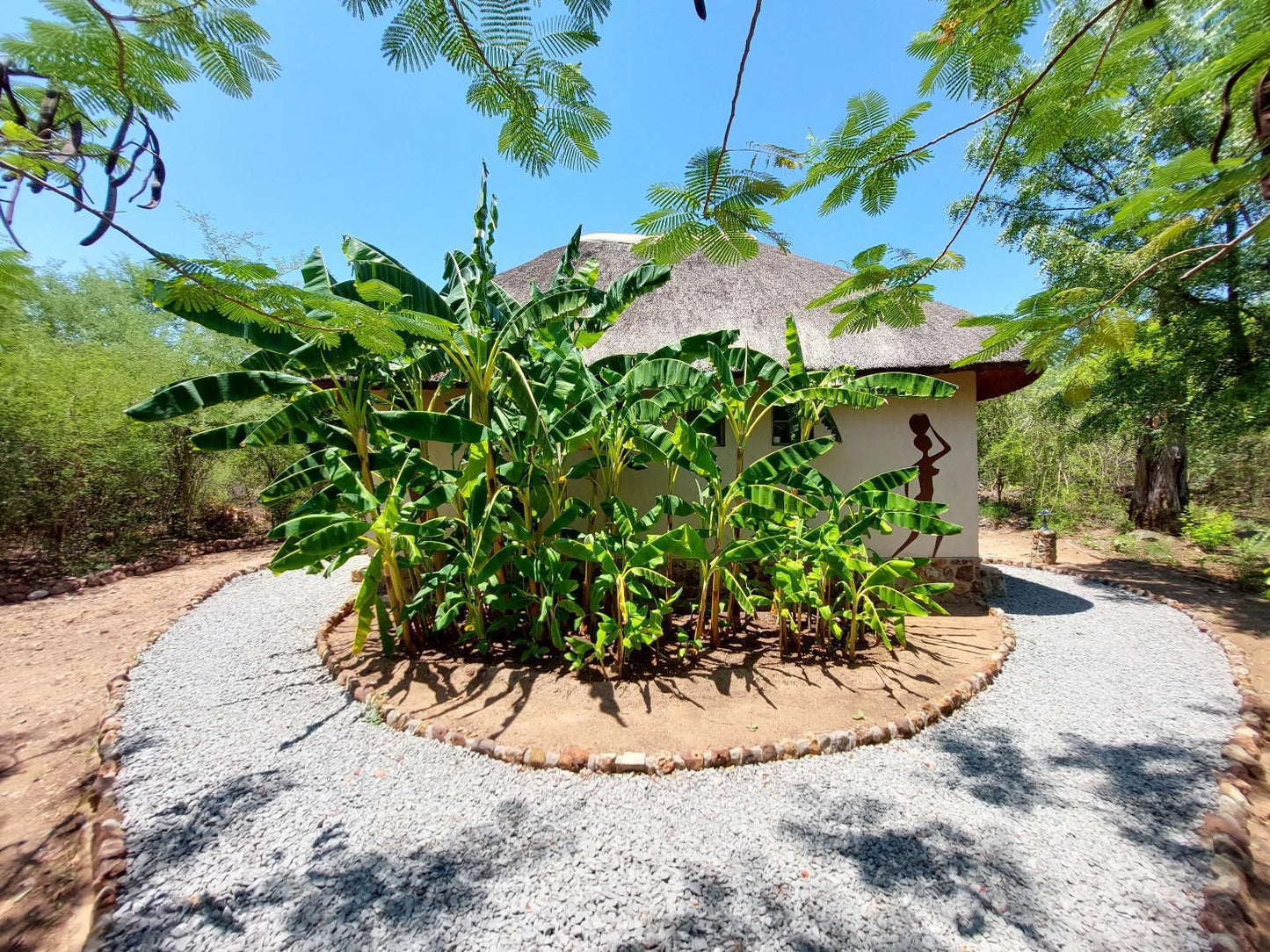 Mobola Island Lodge, Campsite, Plant, Nature, Garden