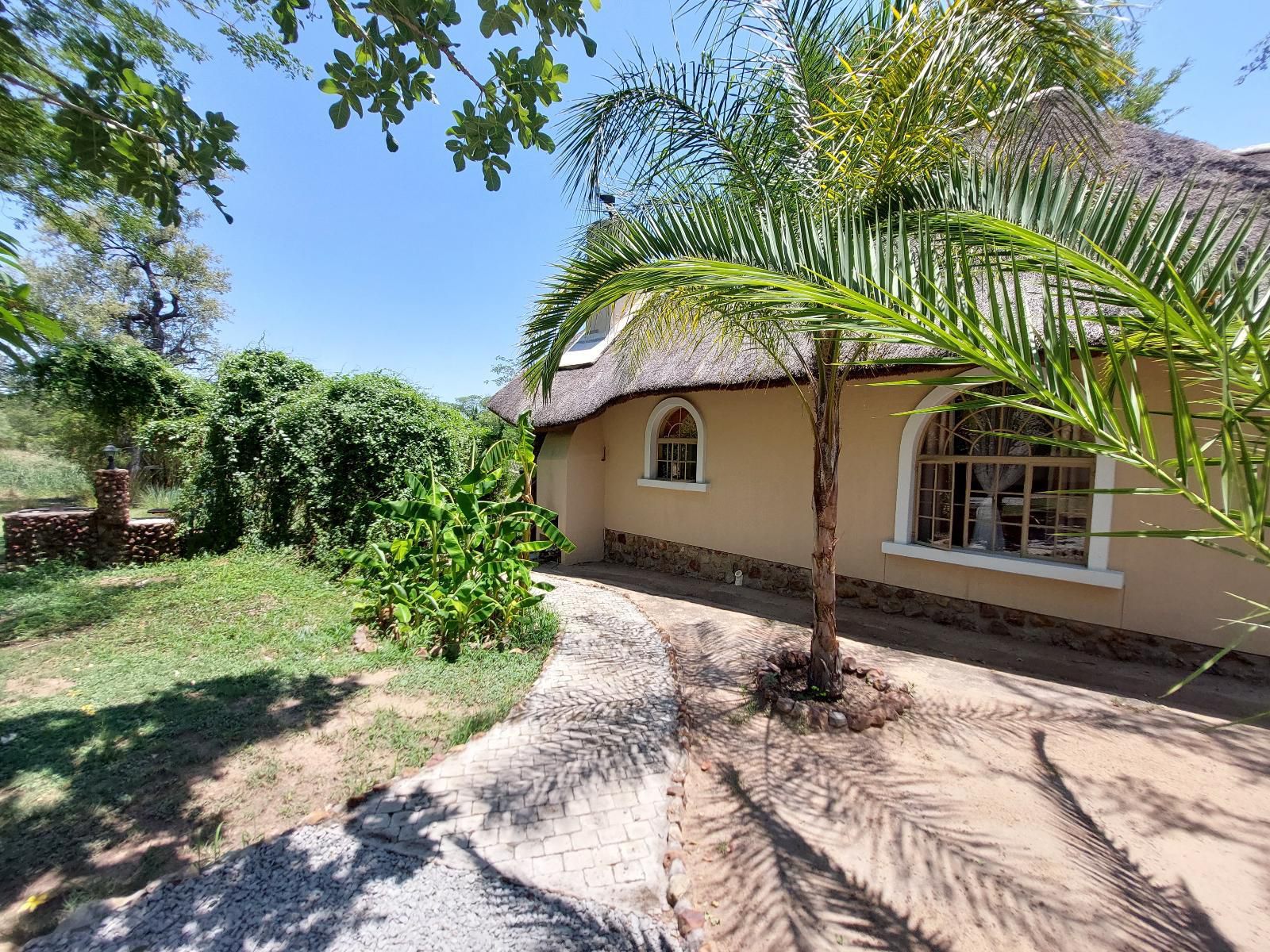 Mobola Island Lodge, Luxury Bungalow, House, Building, Architecture, Palm Tree, Plant, Nature, Wood