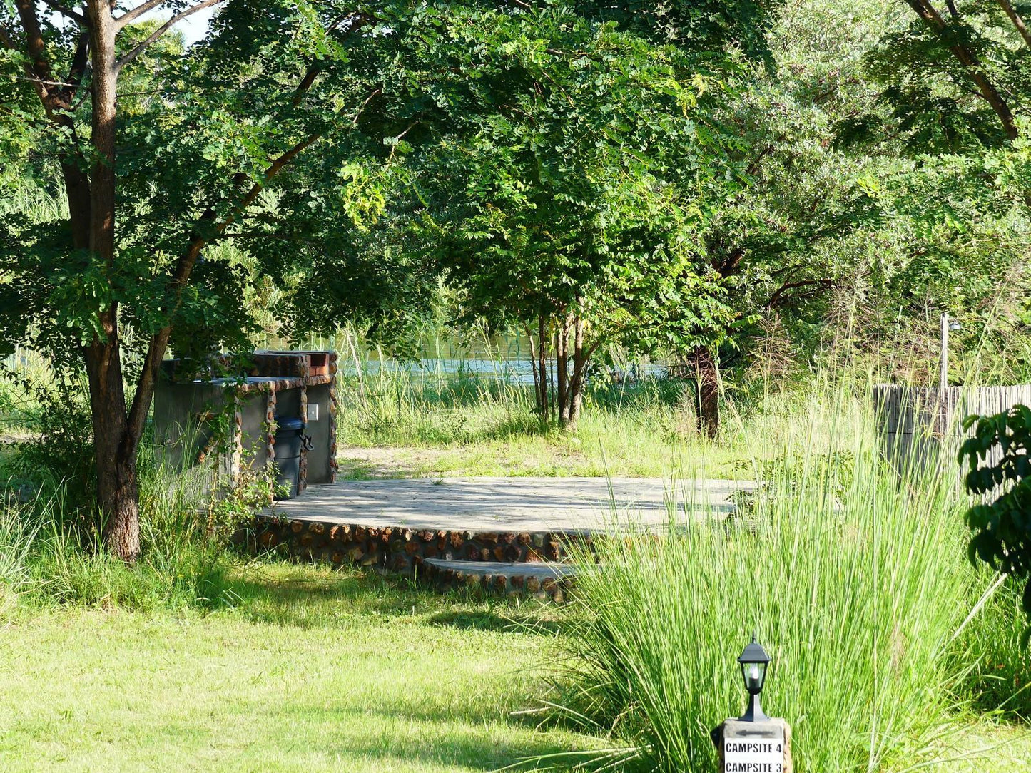 Mobola Island Lodge, Standard Twin Room, Tree, Plant, Nature, Wood, Garden