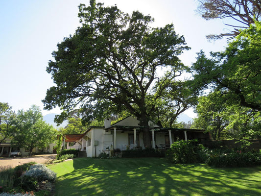 Modderkloof Farm Accommodation Paarl Western Cape South Africa House, Building, Architecture, Plant, Nature, Tree, Wood