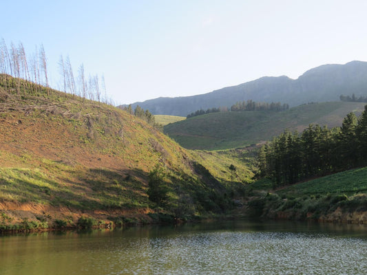 Modderkloof Farm Accommodation Paarl Western Cape South Africa Lake, Nature, Waters, Mountain, River, Tree, Plant, Wood, Highland