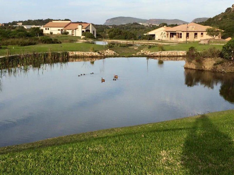 Modern House Whale Rock Robberg Ridge Plettenberg Bay Western Cape South Africa Lake, Nature, Waters, River, Swimming Pool