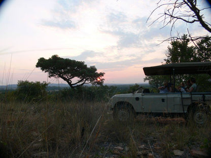 Modikgweng Lodge Sun City North West Province South Africa Forest, Nature, Plant, Tree, Wood, Vehicle