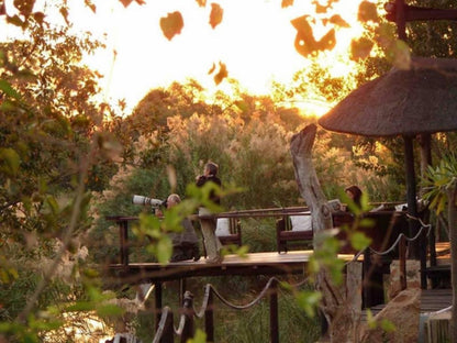 Mogalakwena River Lodge Alldays Limpopo Province South Africa Silhouette, Nature