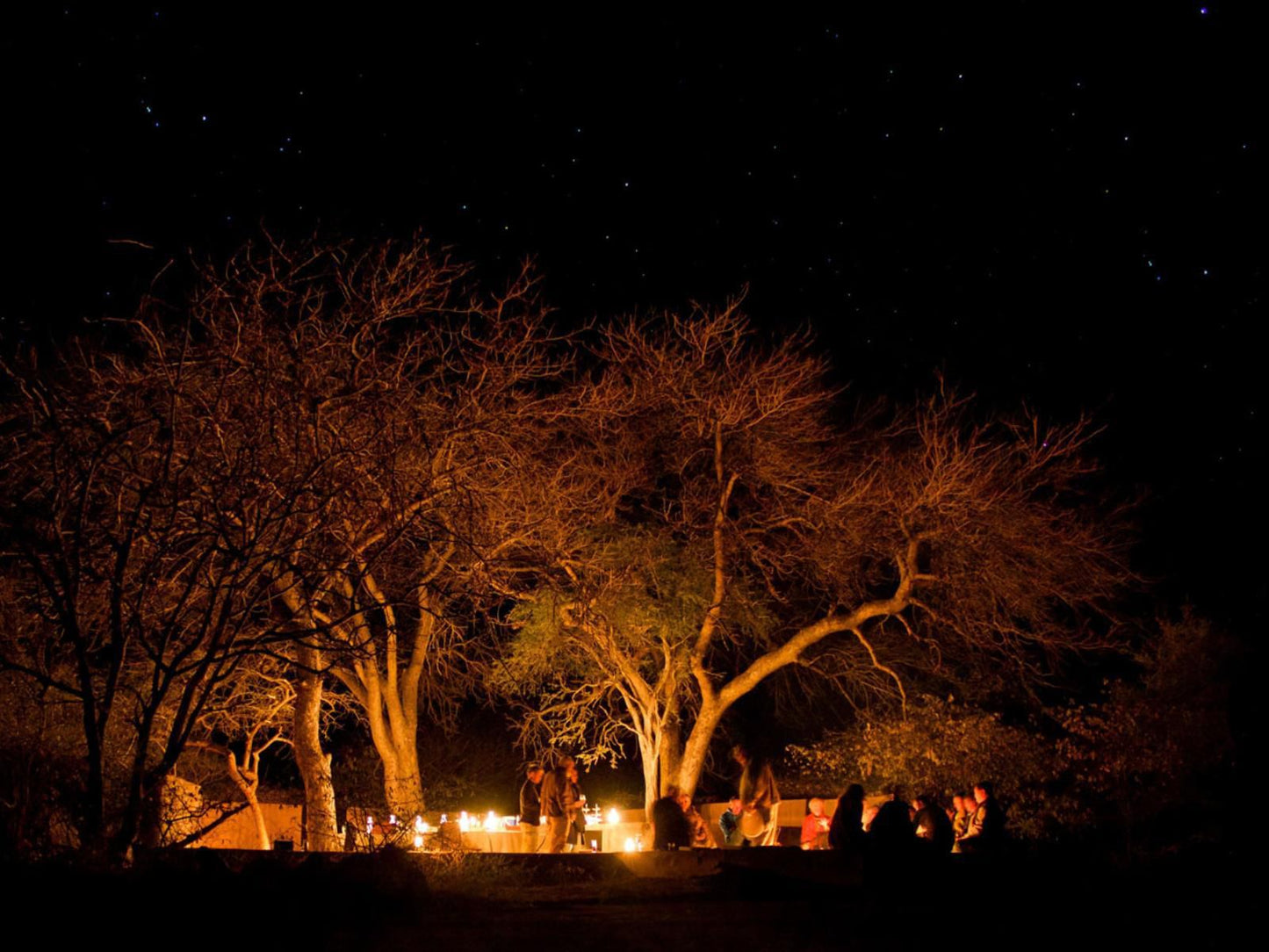 Mogalakwena River Lodge Alldays Limpopo Province South Africa Dark, Nature