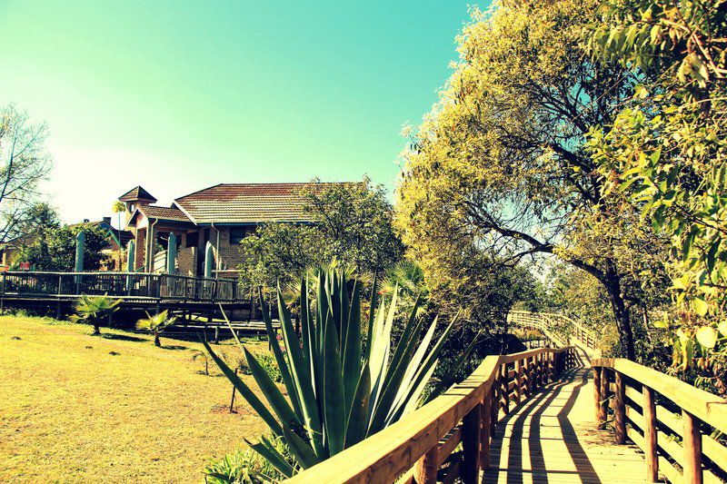 Mogodi Lodge Graskop Mpumalanga South Africa 