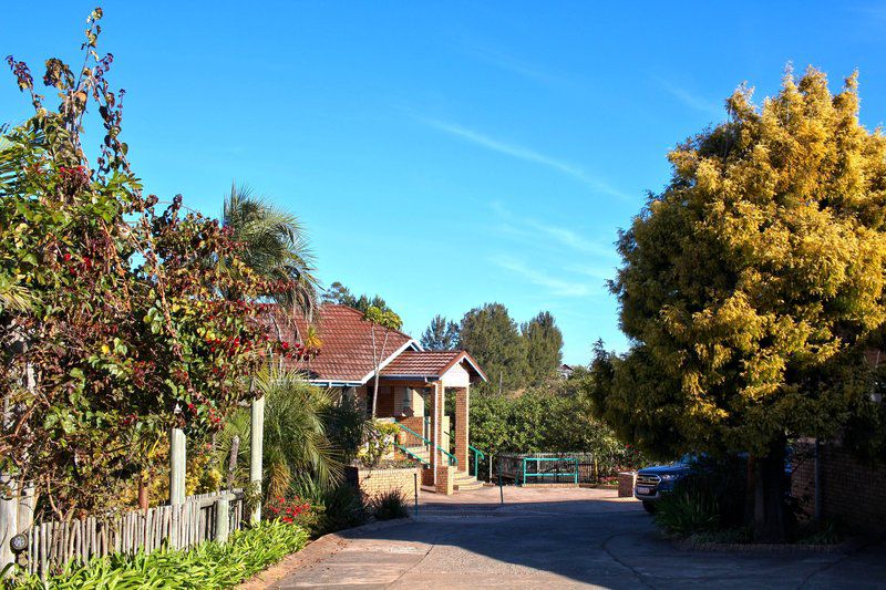 Mogodi Lodge Graskop Mpumalanga South Africa Complementary Colors, House, Building, Architecture, Palm Tree, Plant, Nature, Wood