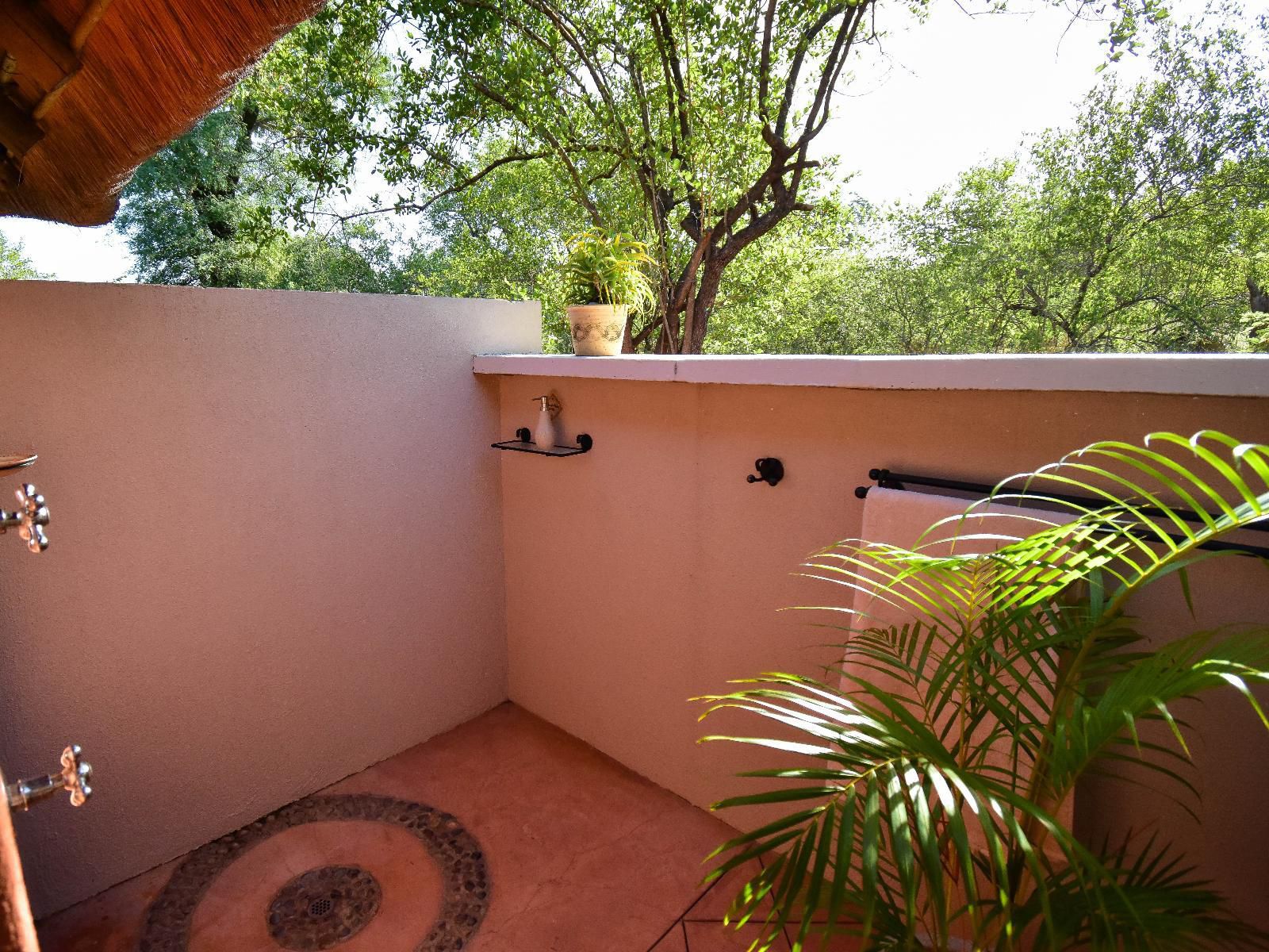 Mohlabetsi Safari Lodge Balule Nature Reserve Mpumalanga South Africa Bathroom, Garden, Nature, Plant