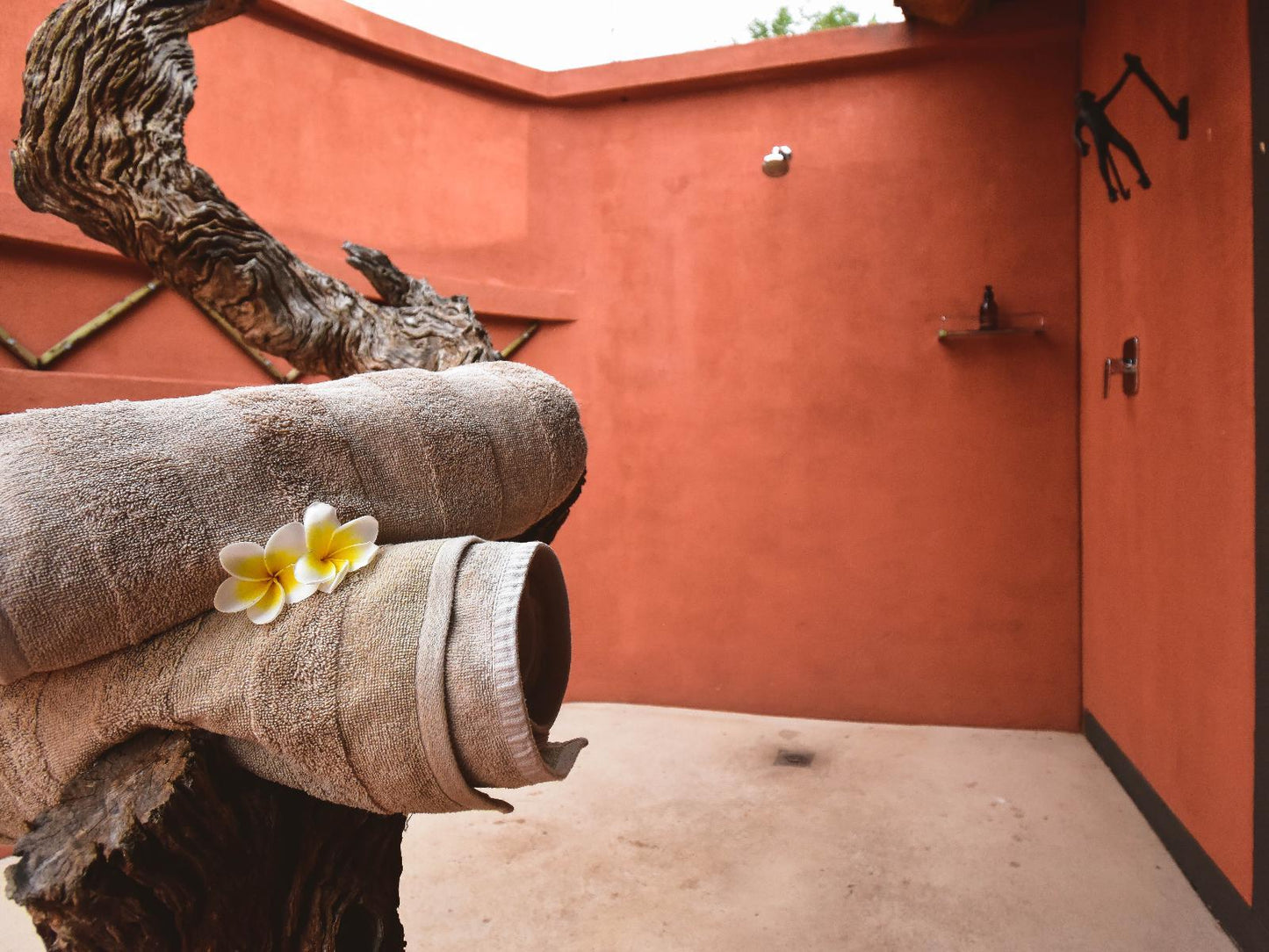 Impala Lily Suite @ Mohlabetsi Safari Lodge