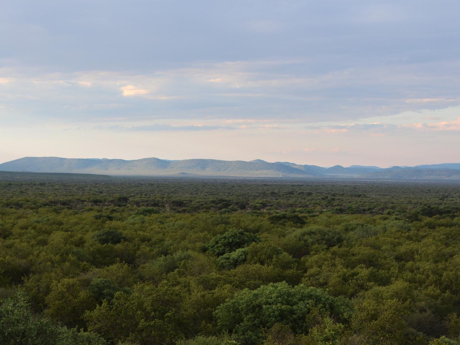 Mokuru Private Nature Reserve, Nature