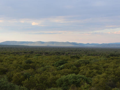 Mokuru Private Nature Reserve, Nature