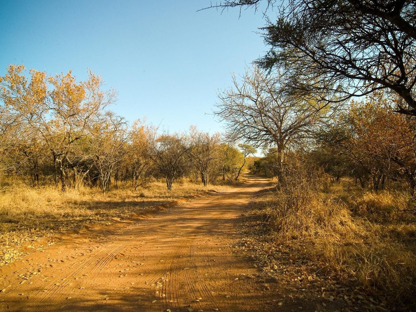 Mokuru Private Nature Reserve, Lowland, Nature