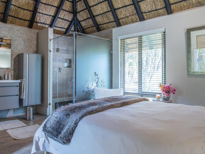 Molapo Safari Waterberg Limpopo Province South Africa Bedroom