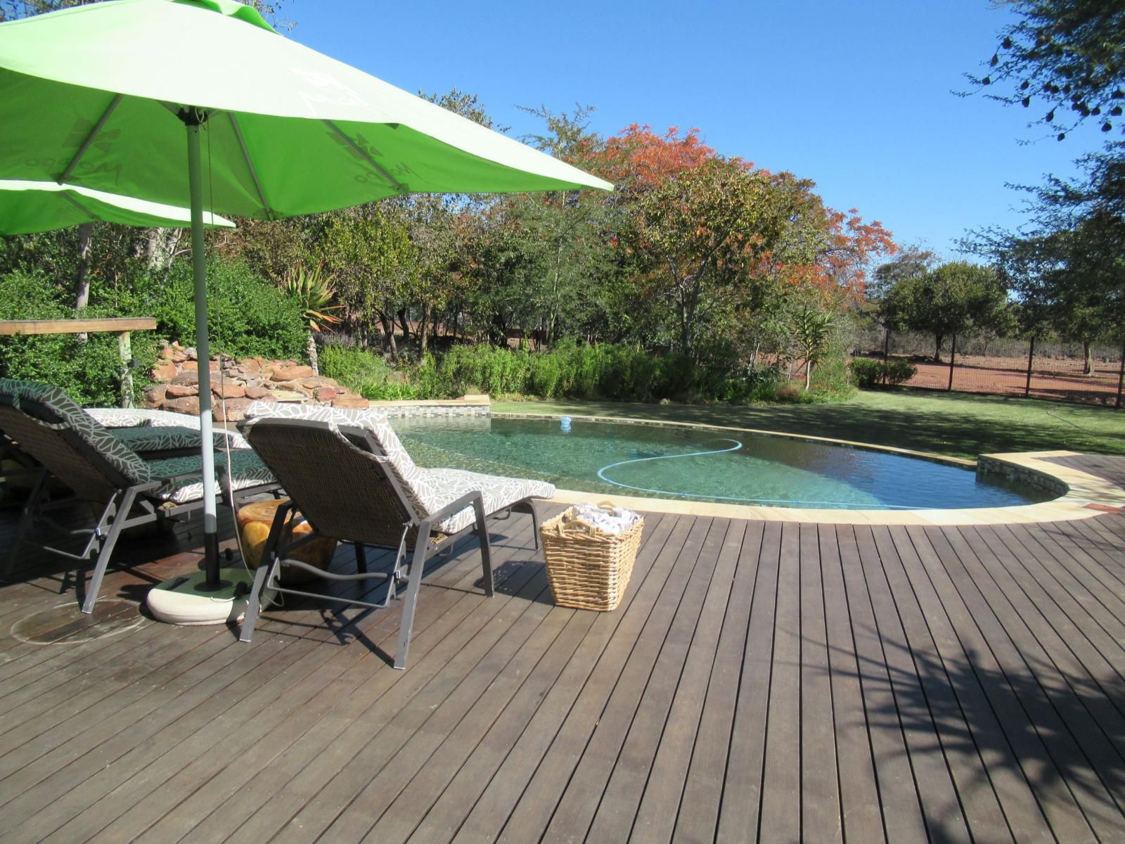 Molapo Safari Waterberg Limpopo Province South Africa Swimming Pool