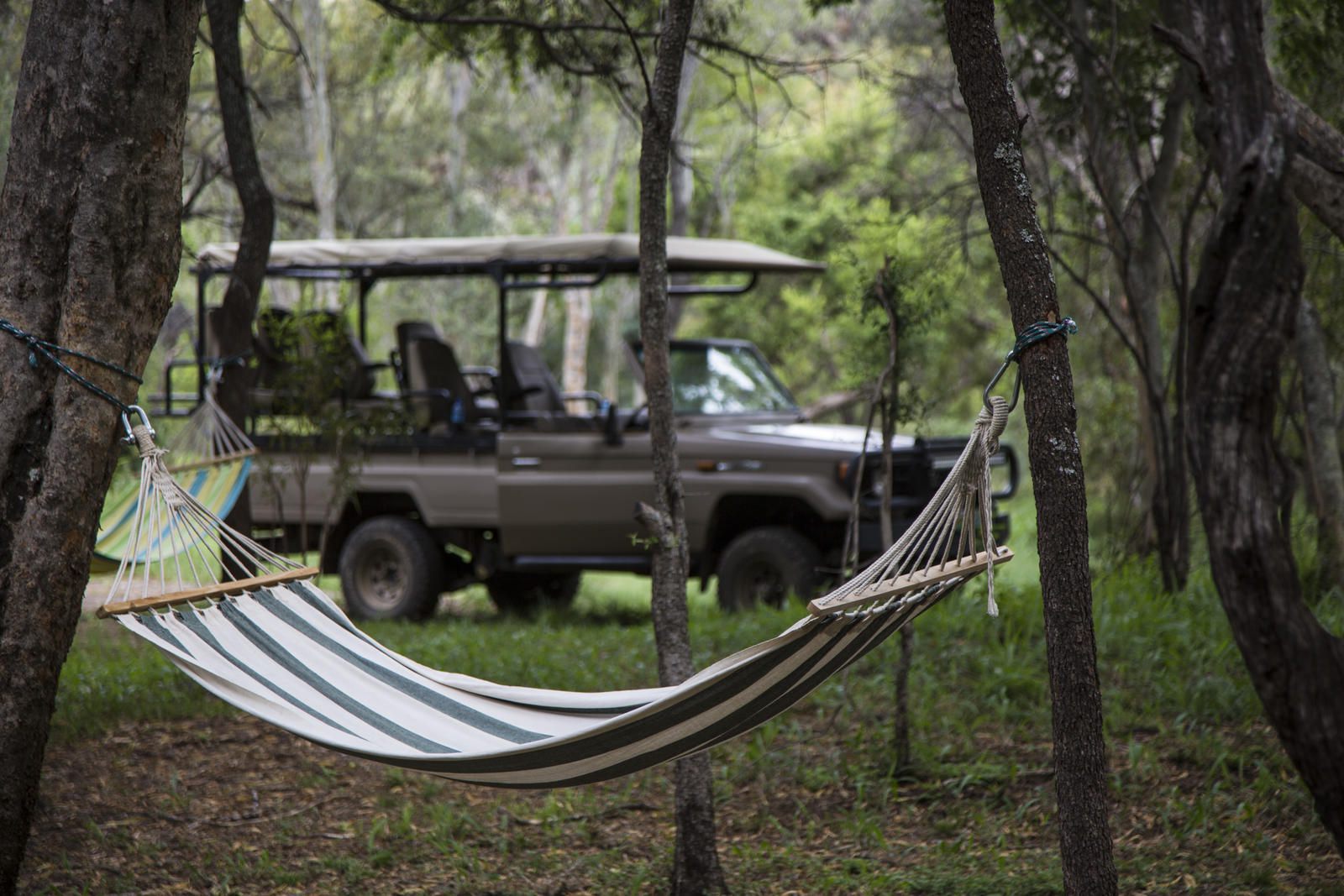 Moledi Gorge Kwa Mmatau Wildlife Reserve North West Province South Africa Forest, Nature, Plant, Tree, Wood, Vehicle