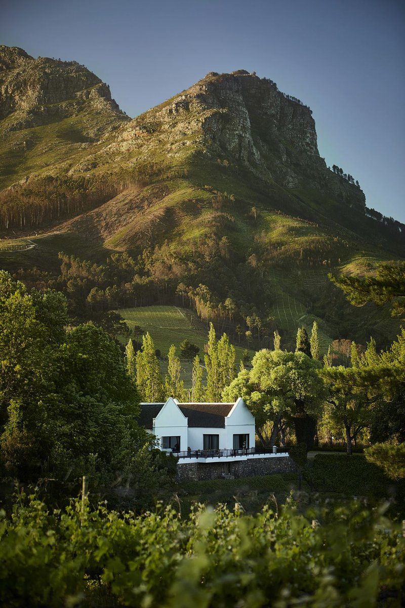 Molenvliet Oosthuizen Family Vineyards Stellenbosch Western Cape South Africa Mountain, Nature, Framing, Highland