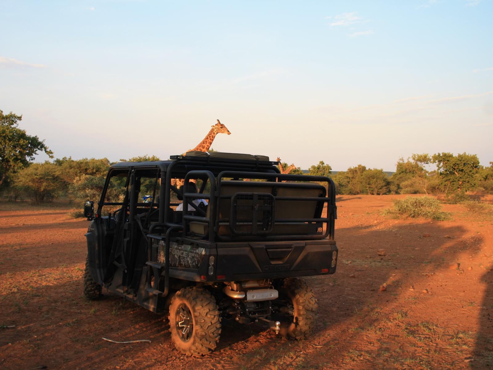 Mologa River Lodge, Vehicle