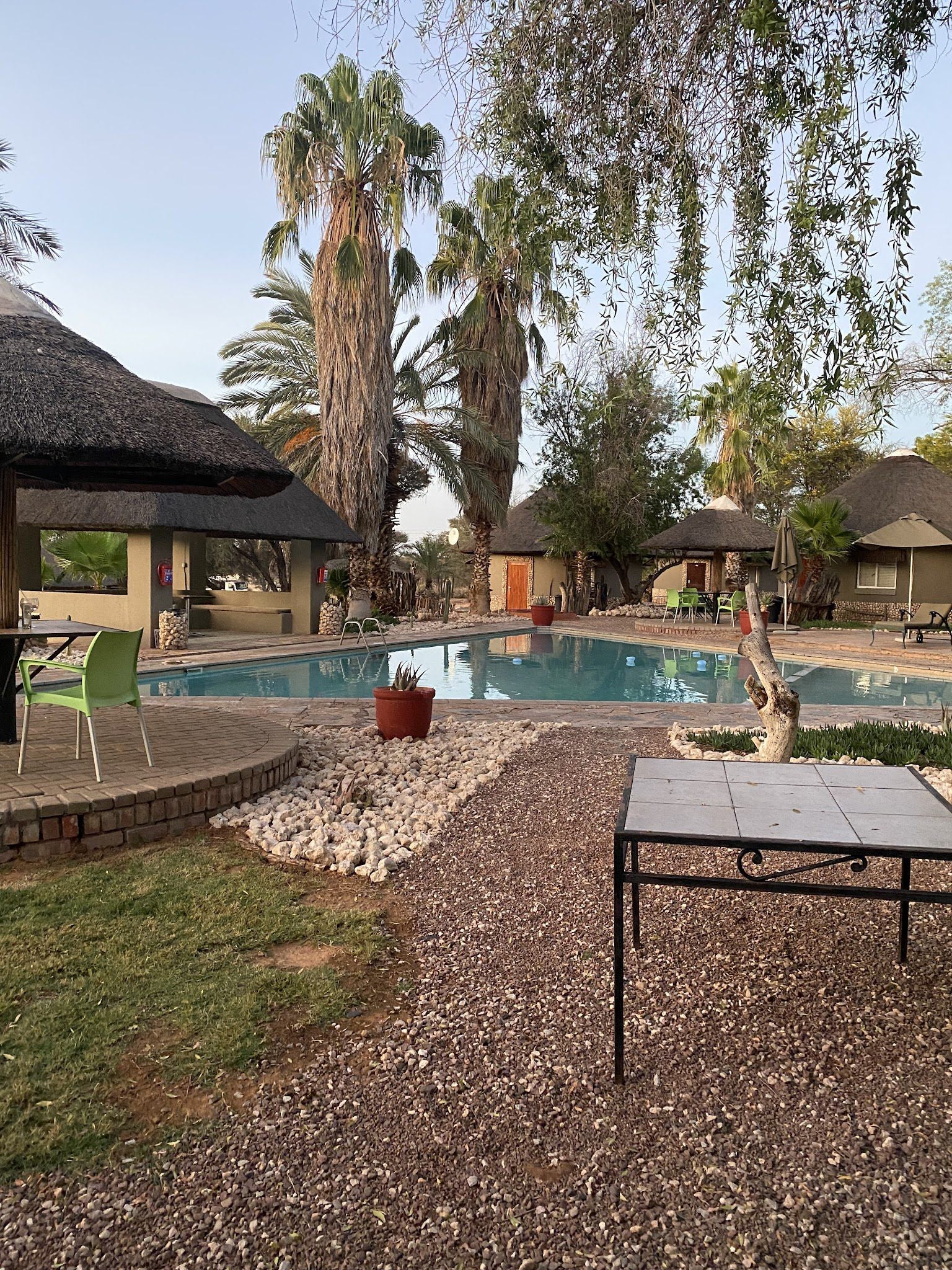 Molopo Kalahari Lodge Askham Northern Cape South Africa Palm Tree, Plant, Nature, Wood, Swimming Pool