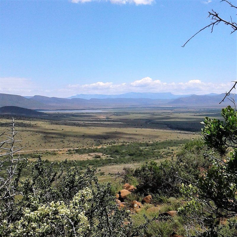 Molweni Cottage Camdeboo National Park Eastern Cape South Africa Lowland, Nature