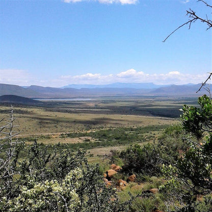 Molweni Cottage Camdeboo National Park Eastern Cape South Africa Lowland, Nature