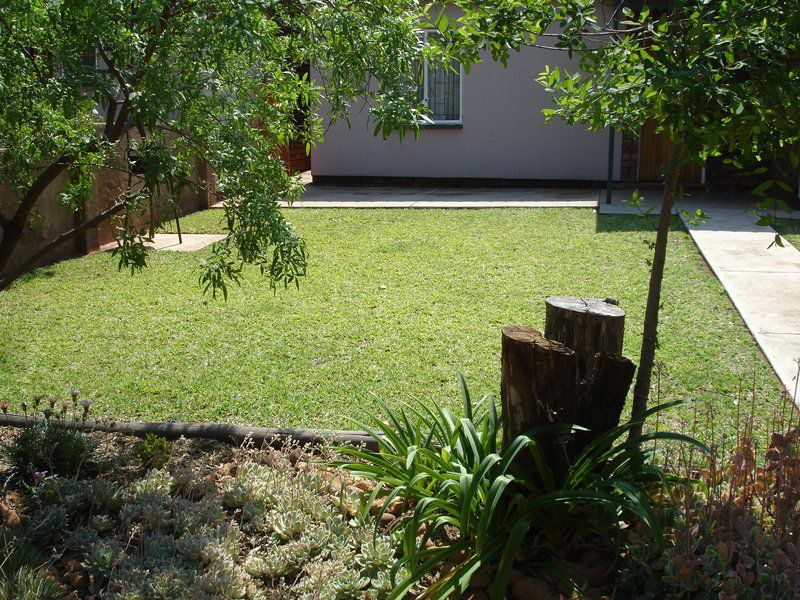 Monate Rest Camp Mokopane Potgietersrus Limpopo Province South Africa Palm Tree, Plant, Nature, Wood, Garden