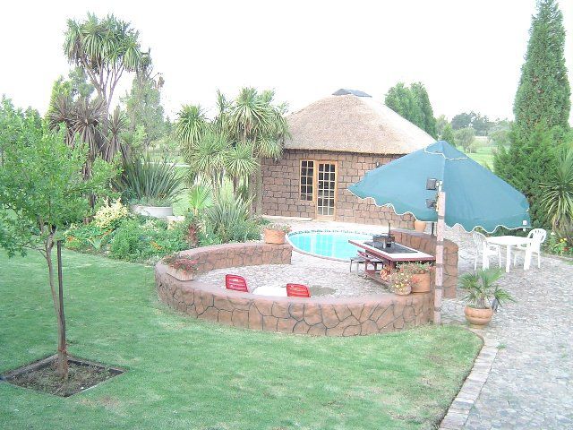 Monati Guest House And Tours Marister Johannesburg Gauteng South Africa Palm Tree, Plant, Nature, Wood, Garden, Swimming Pool