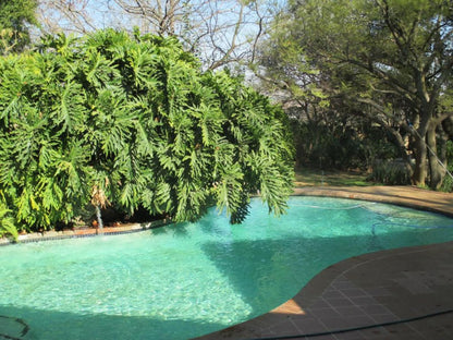 Monchique Guest House And Conference Centre Muldersdrift Gauteng South Africa Plant, Nature, Garden, Swimming Pool