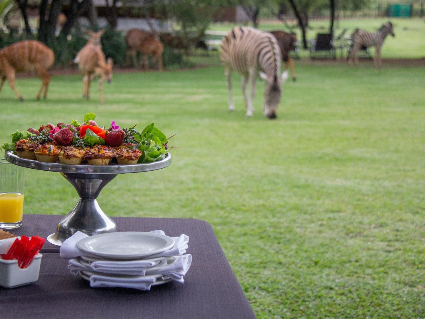 Mongena Game Lodge Dinokeng Game Reserve Gauteng South Africa Place Cover, Food