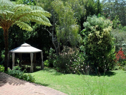 Mongoose Manor Bed And Breakfast Framesby Port Elizabeth Eastern Cape South Africa Palm Tree, Plant, Nature, Wood, Garden