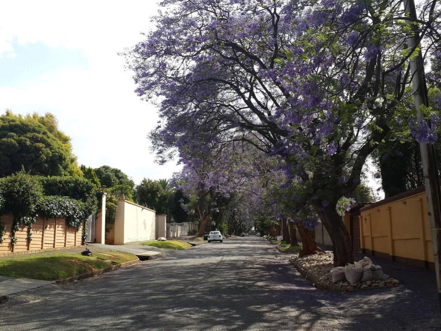 Monica S Cottage South Kensington Johannesburg Gauteng South Africa House, Building, Architecture, Plant, Nature