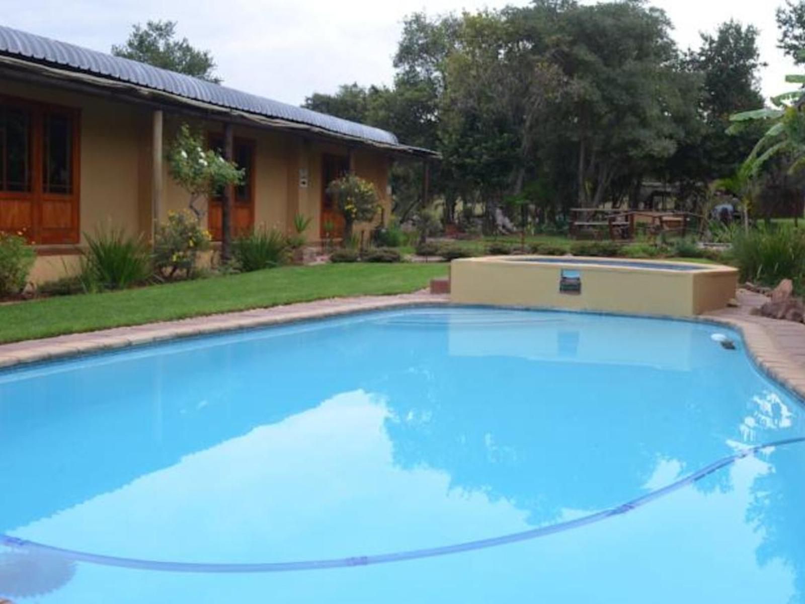 Mon Repos Guest Farm Bela Bela Warmbaths Limpopo Province South Africa Palm Tree, Plant, Nature, Wood, Swimming Pool
