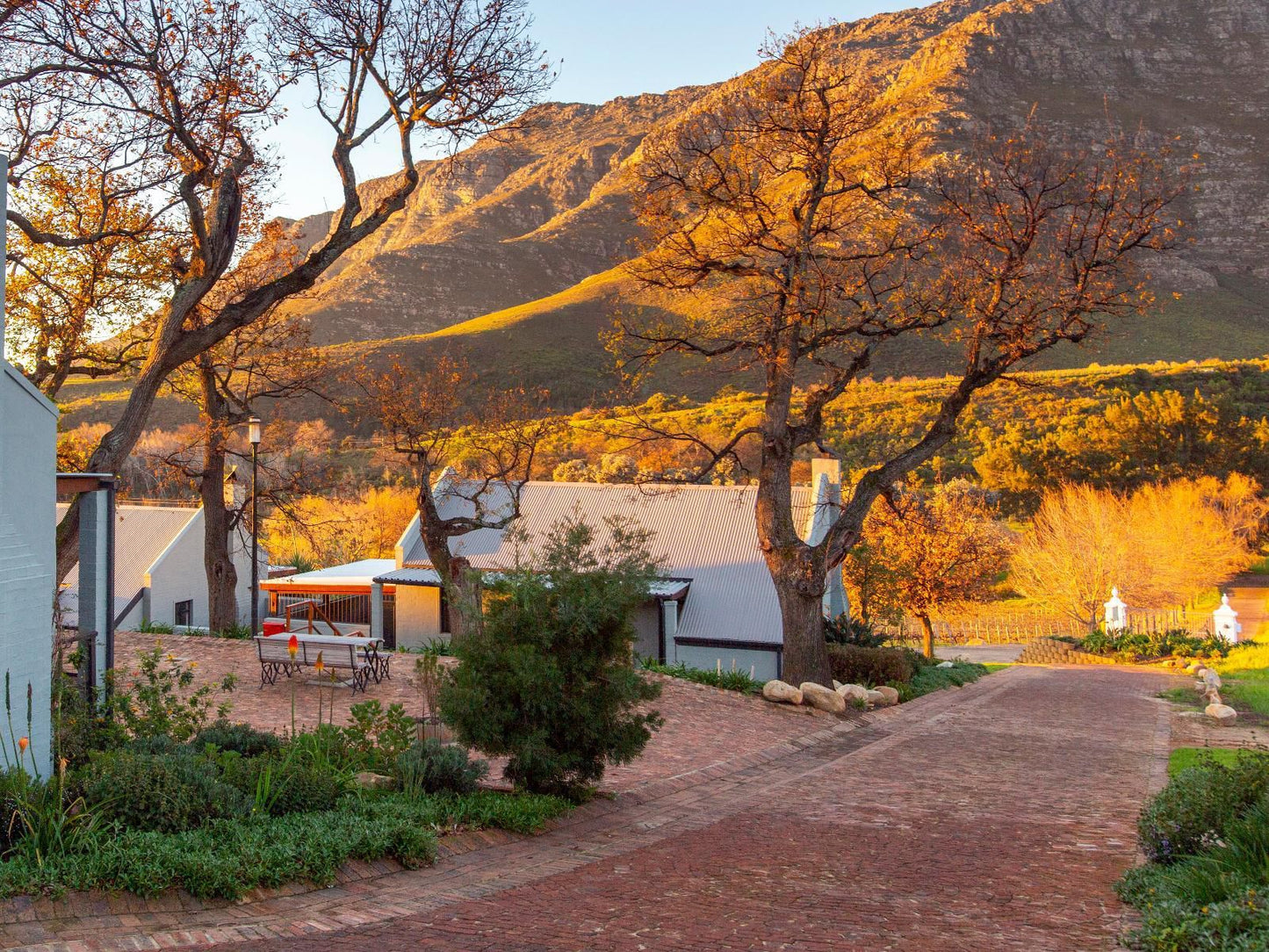 Mont Angelis Retreat Paradyskloof Stellenbosch Western Cape South Africa Autumn, Nature