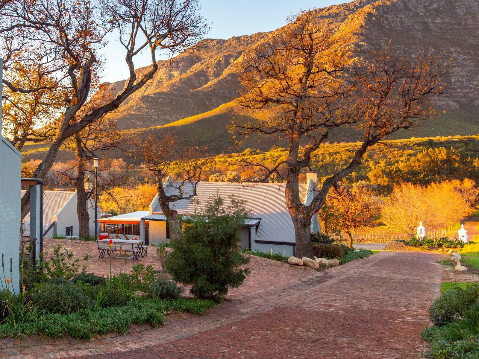 Mont Angelis Retreat Paradyskloof Stellenbosch Western Cape South Africa Autumn, Nature