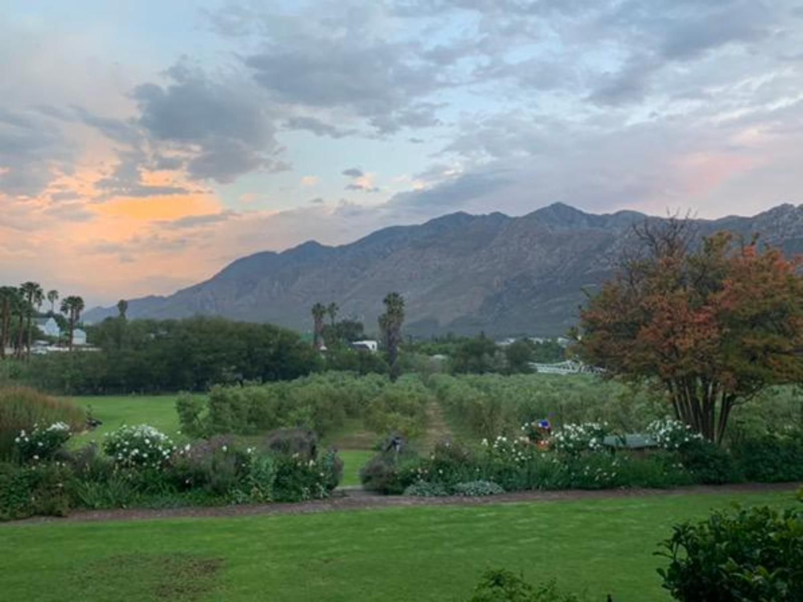 Montagu Vines Guesthouse, Garden, Nature, Plant