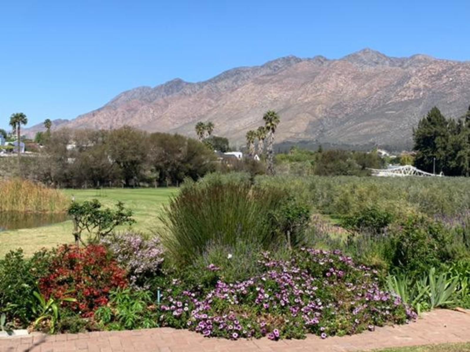 Montagu Vines Guesthouse, Plant, Nature, Garden