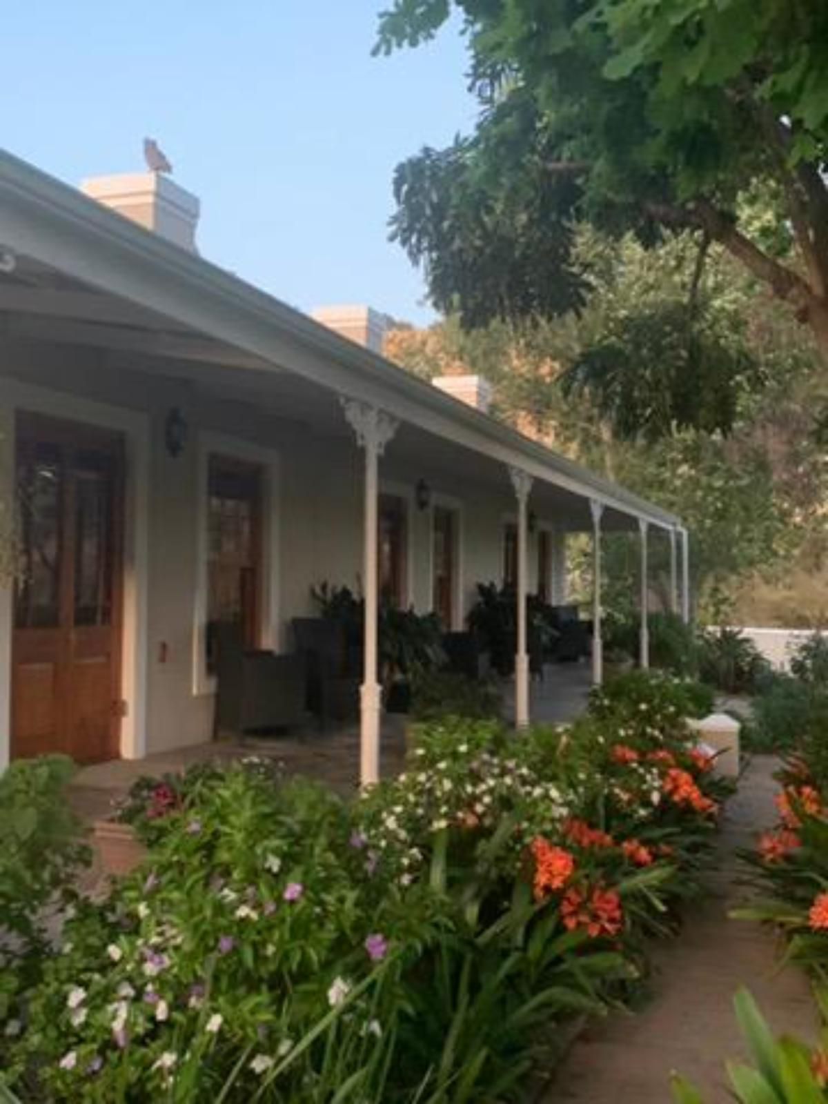 Montagu Vines Guesthouse, House, Building, Architecture, Plant, Nature, Garden