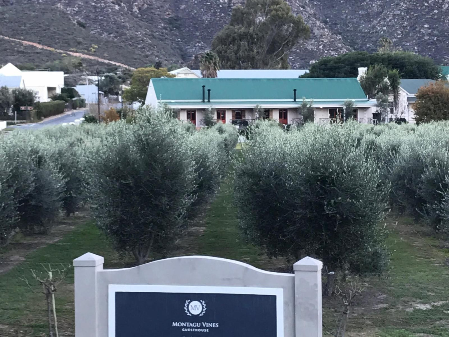 Montagu Vines Guesthouse, Cactus, Plant, Nature, Sign, Text, Cemetery, Religion, Grave