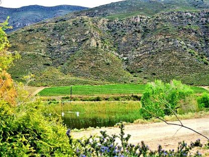 Harmonie Farm Cottage Montagu Western Cape South Africa Highland, Nature