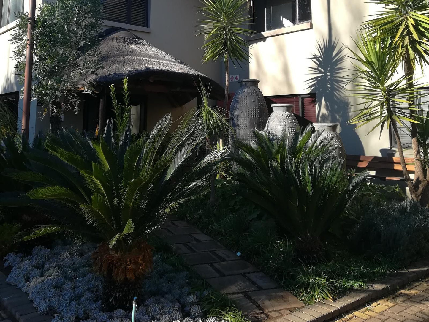 Monte Christo Country Lodge Spitskop Bloemfontein Free State South Africa House, Building, Architecture, Palm Tree, Plant, Nature, Wood