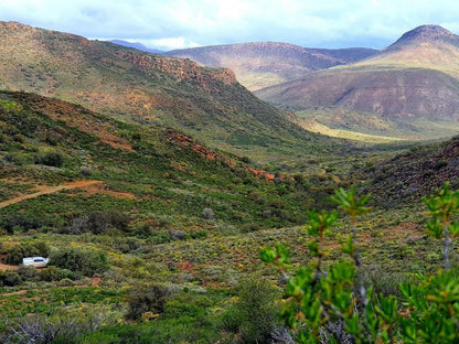 Montevue Nature Farm, Camping Spot, Nature