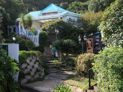 Mont Fleur Wilderness Wilderness Western Cape South Africa House, Building, Architecture, Palm Tree, Plant, Nature, Wood, Garden