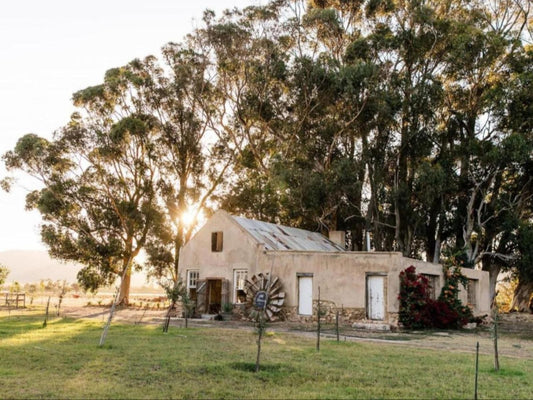 Montpellier De Tulbagh Tulbagh Western Cape South Africa Building, Architecture, Palm Tree, Plant, Nature, Wood