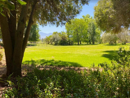 Montpellier De Tulbagh Tulbagh Western Cape South Africa Colorful, Meadow, Nature, Plant, Garden