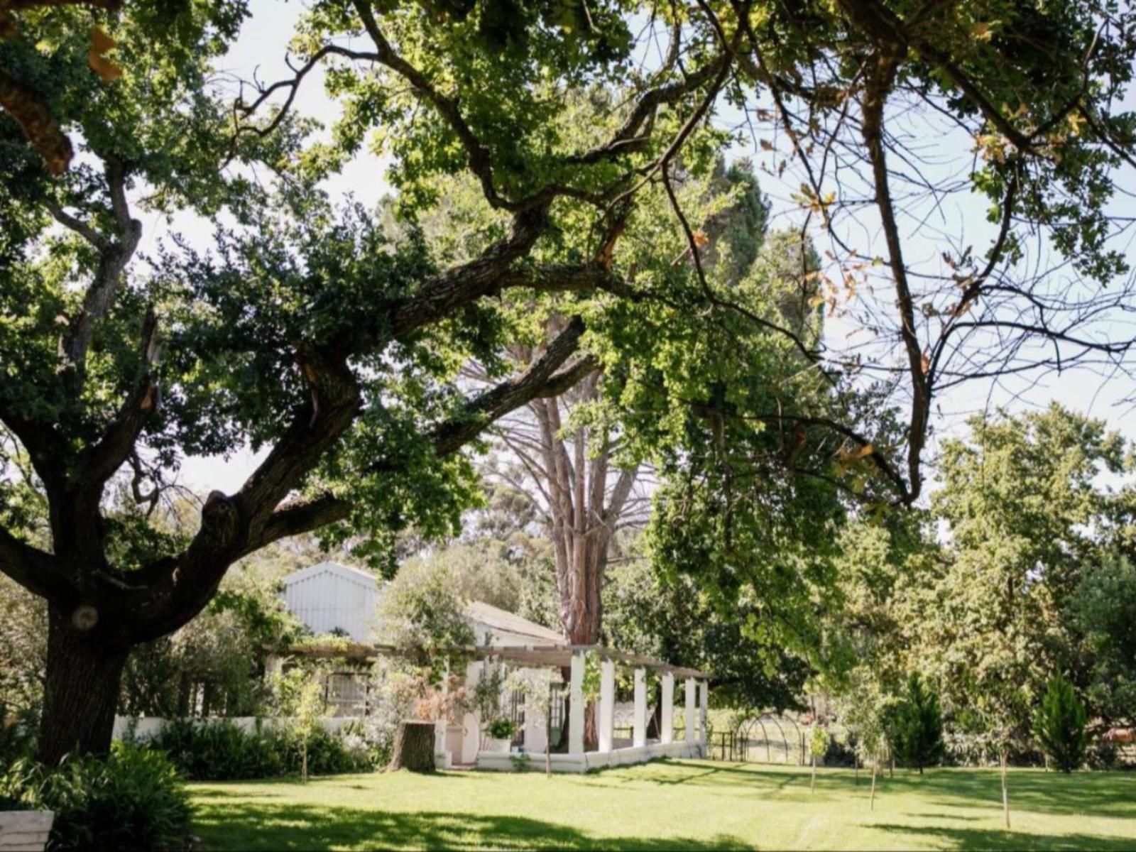 Montpellier De Tulbagh Tulbagh Western Cape South Africa House, Building, Architecture, Plant, Nature, Tree, Wood, Garden