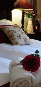 Honeymoon Suite @ Amoris Guest House - Waterkloof Ridge
