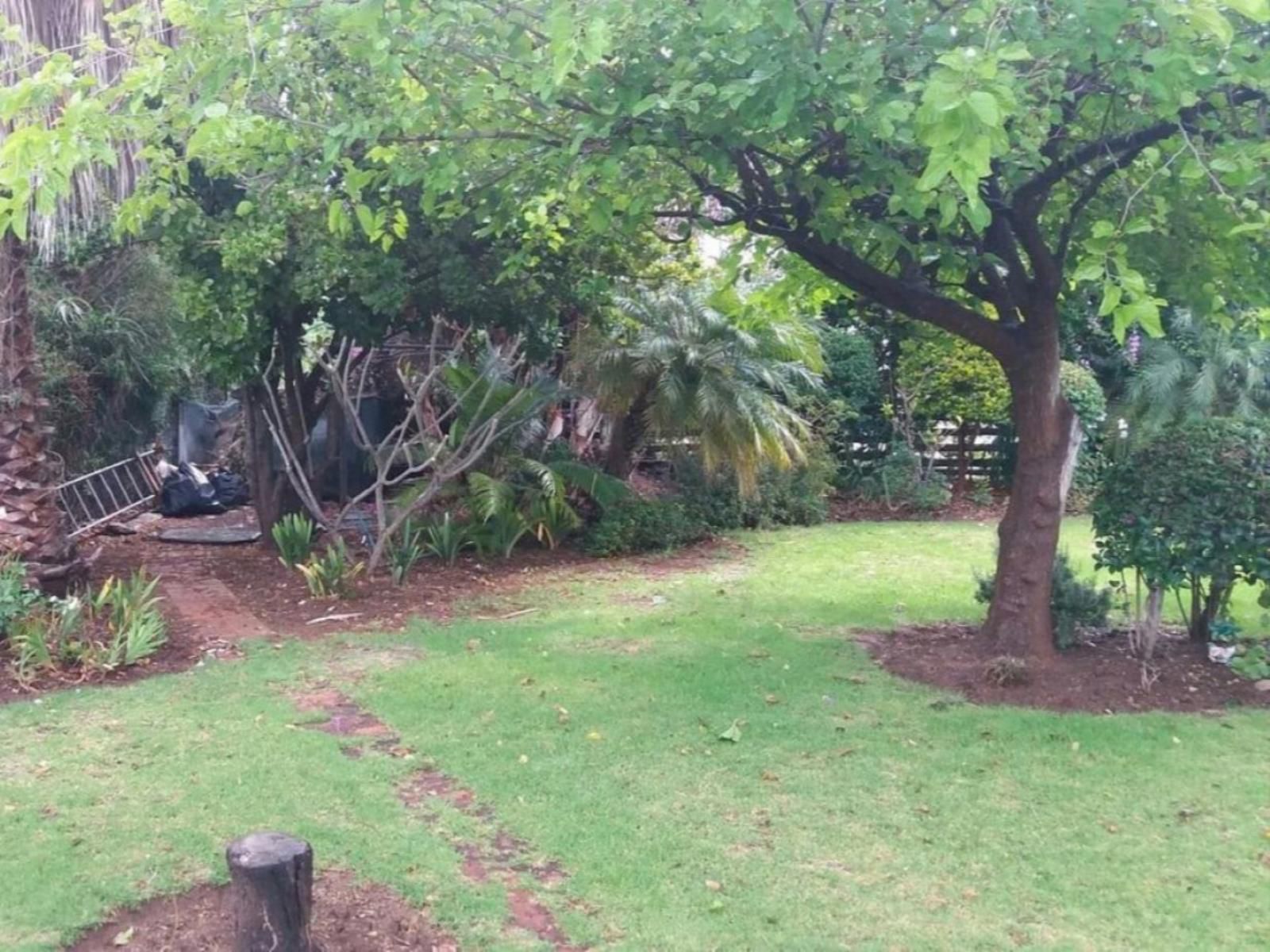 Montq Guesthouse Montagu Western Cape South Africa Palm Tree, Plant, Nature, Wood, Tree, Garden